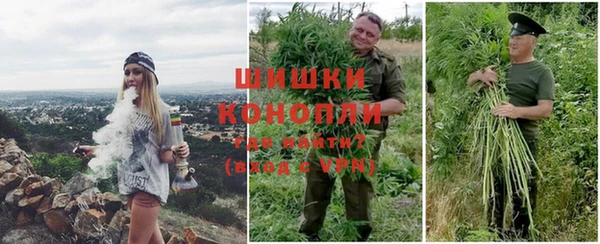 ешки Каменногорск