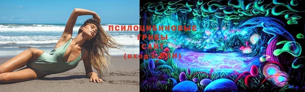 кокс Инта